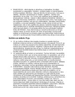 Konspekts 'Konspekts par 19.gs', 4.