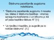 Prezentācija 'Šķidruma virsmas spraigums. Slapināšana. Kapilārās parādības', 17.
