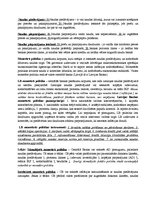 Konspekts 'Mikro/makro ekonomika', 13.