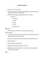 Konspekts 'Renesanse un humānisms', 1.