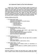 Konspekts 'Vigotska un Piažē salīdzinājums', 1.