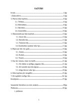 Referāts 'Skaistas ādas noslēpums', 2.