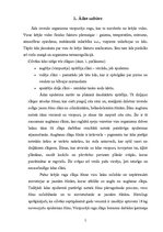 Referāts 'Skaistas ādas noslēpums', 5.