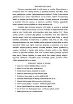 Konspekts 'Integrētu nodarbību plānveida norise. Temats - ziema', 4.