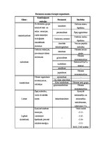 Konspekts 'Fermenti jeb enzīmi, to klasifikācija, nozīme dzīvajos organismos', 3.