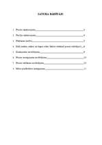 Referāts 'Firmas "Dzintars" lūpu balzamu "Sports" un "Uni" izpēte', 2.