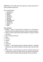 Referāts 'Firmas "Dzintars" lūpu balzamu "Sports" un "Uni" izpēte', 8.