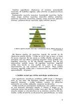 Referāts 'Motīvi un motivēšanas teorijas', 6.