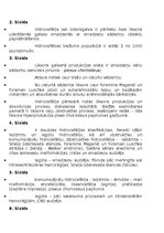 Prezentācija 'Hidrocefālija', 19.