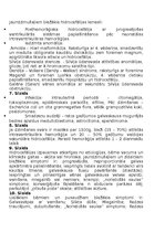 Prezentācija 'Hidrocefālija', 20.