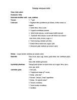 Konspekts 'Koki rudenī', 1.