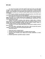 Referāts 'Darba attiecības, no tām izrietošie norēķini un to uzskaite', 2.