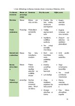 Diplomdarbs 'Uzņēmuma SIA ''Happycard'' mārketinga virzīšanas  pilnveidošanas iespējas', 19.