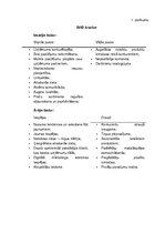 Diplomdarbs 'Uzņēmuma SIA ''Happycard'' mārketinga virzīšanas  pilnveidošanas iespējas', 54.