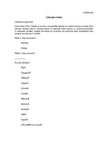 Diplomdarbs 'Uzņēmuma SIA ''Happycard'' mārketinga virzīšanas  pilnveidošanas iespējas', 55.