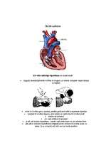 Referāts 'Pirmā palīdzība', 4.