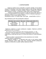 Biznesa plāns 'SIA "Runner" biznesa plāns', 2.