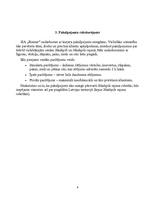 Biznesa plāns 'SIA "Runner" biznesa plāns', 4.