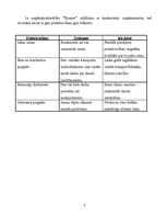 Biznesa plāns 'SIA "Runner" biznesa plāns', 8.