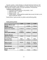 Biznesa plāns 'SIA "Runner" biznesa plāns', 14.