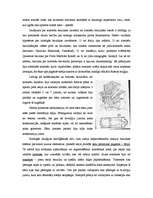 Referāts 'Bazilikas attīstība antīkajā Romā', 9.