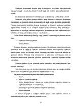 Diplomdarbs 'SIA ”X” finanšu darbības analīze un pilnveidošanas iespējas', 14.