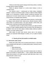 Diplomdarbs 'SIA ”X” finanšu darbības analīze un pilnveidošanas iespējas', 15.