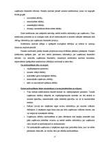 Diplomdarbs 'SIA ”X” finanšu darbības analīze un pilnveidošanas iespējas', 17.