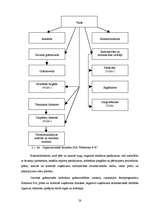 Diplomdarbs 'SIA ”X” finanšu darbības analīze un pilnveidošanas iespējas', 28.
