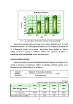 Diplomdarbs 'SIA ”X” finanšu darbības analīze un pilnveidošanas iespējas', 47.