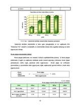 Diplomdarbs 'SIA ”X” finanšu darbības analīze un pilnveidošanas iespējas', 48.