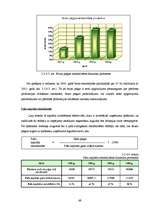 Diplomdarbs 'SIA ”X” finanšu darbības analīze un pilnveidošanas iespējas', 49.