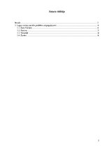 Eseja 'Sociālo problēmu raksturojums Viktora Igo romānā "Nožēlojamie"', 2.