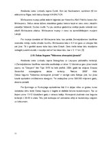 Referāts 'Limbažu rajona tūrisma apskates objekti', 11.