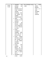 Referāts 'Limbažu rajona tūrisma apskates objekti', 16.