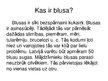 Prezentācija 'Īsa prezentācija par blusām', 2.
