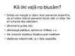 Prezentācija 'Īsa prezentācija par blusām', 6.