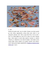 Konspekts 'Ideju katalogs', 5.