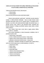 Prakses atskaite 'Profesionālās prakses atskaite', 8.