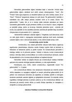 Prakses atskaite 'Profesionālās prakses atskaite', 17.