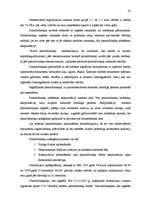 Prakses atskaite 'Profesionālās prakses atskaite', 19.