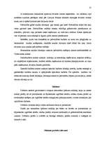 Prakses atskaite 'Profesionālās prakses atskaite', 21.