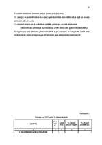 Prakses atskaite 'Profesionālās prakses atskaite', 28.