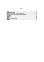 Referāts 'Baltu valodu grupas dzīvās valodas', 2.