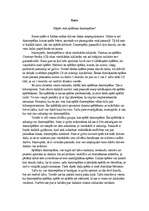 Eseja 'Kāpēc tiek spēlētas datorspēles?', 1.