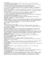 Eseja 'Ifantis Expanding to Czech Republic', 4.