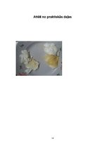 Prakses atskaite 'Pārtikas produktu uzglabāšanas ilgums atkarībā no pievienotajām vielām', 14.
