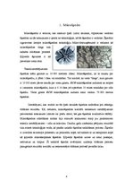 Referāts 'Mikrošķiedras', 4.