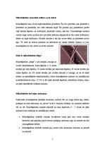 Referāts 'Mikrošķiedras', 5.