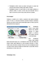 Referāts 'Mikrošķiedras', 6.